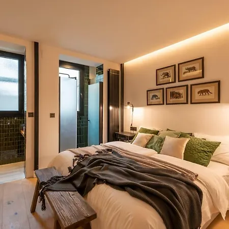 Apartment Safari Ac By Staynnapartments Bilbao
